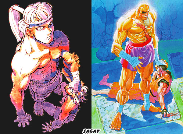 Street Fighter: Nine books (not) written by the World Warriors after the  1994 movie – The Pop Culture Studio