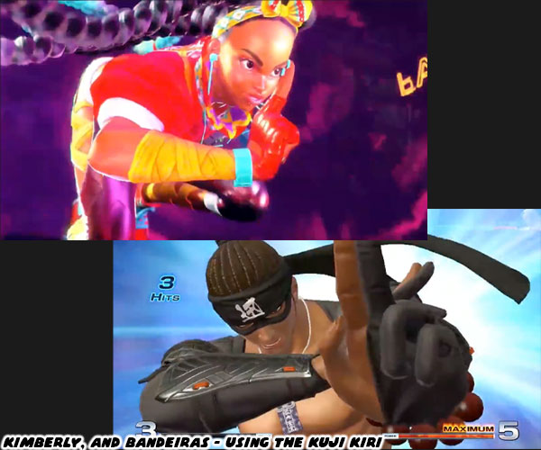 Ninja Kung Fu Fighting: Street Wars Fighter King